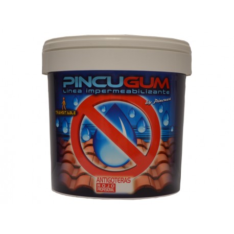 AN0520 PINCUGUM ANTIGOTERAS ESPECIAL - GRIS - 750 ML